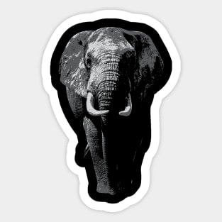 Elephant Big Five Africa Sticker